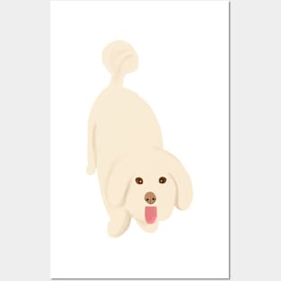 Happy Dog Face Posters and Art